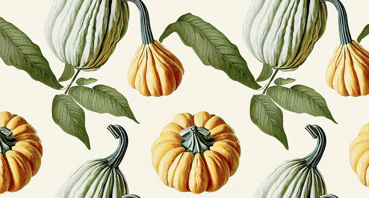 Ilustración de una calabaza verde y amarilla sobre un fondo blanco.