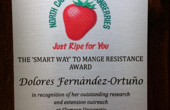 Fotografía de THE SMART WAY TO MANAGEMENT RESISTANCE AWARD
